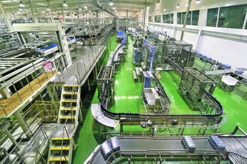 白云区落实“六抓”重点任务 推进新型工业化与项目投资建设走深走实